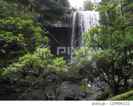 緑の壁に落ちる白の声―Zillie Fallsの午後 緑の壁に落ちる白の声―Zillie Fallsの午後 129906122