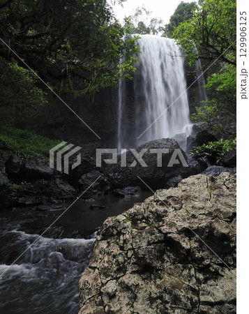 緑の壁に落ちる白の声Ⅱ―Zillie Fallsの午後 緑の壁に落ちる白の声Ⅱ―Zillie Fallsの午後 129906125