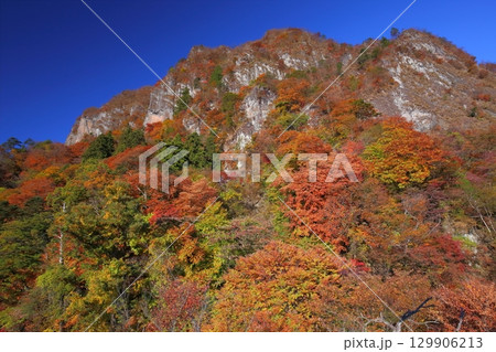 錦秋の妙義山① 129906213