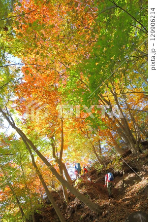 錦秋の妙義山② 129906214