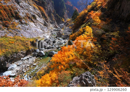 黒部峡谷下ノ廊下② 黒部峡谷下ノ廊下② 129906260