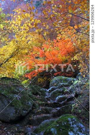 黒部峡谷下ノ廊下④ 黒部峡谷下ノ廊下④ 129906264