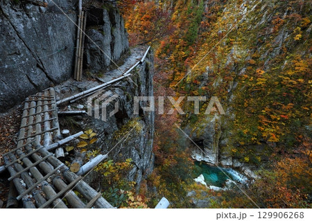 黒部峡谷下ノ廊下⑤ 黒部峡谷下ノ廊下⑤ 129906268