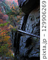 黒部峡谷下ノ廊下⑥ 129906269