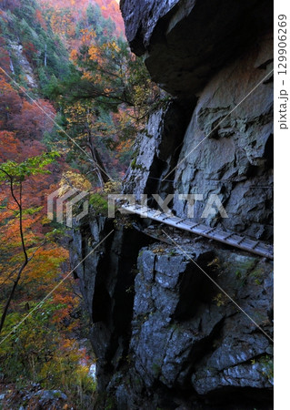 黒部峡谷下ノ廊下⑥ 129906269