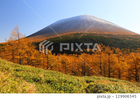 カラマツの紅葉と浅間山① 129906545