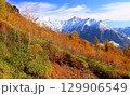 紅葉の焼岳中腹からの穂高 129906549