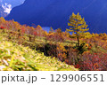 紅葉の焼岳中腹 129906551
