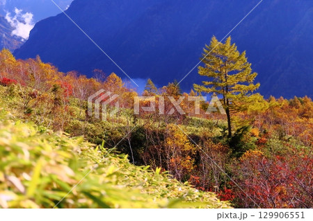 紅葉の焼岳中腹 129906551