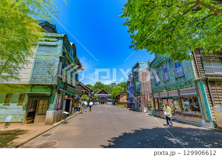 東京　小金井市　江戸東京たてもの園（植村邸と丸二商店） 129906612