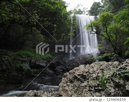 森に語りかける白の流れ―Zillie Fallsの午後 129906839