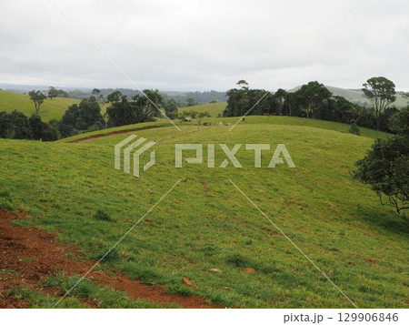 緑の丘に沈む灰の空―Ellinjaa Fallsの静けさ 緑の丘に沈む灰の空―Ellinjaa Fallsの静けさ 129906846