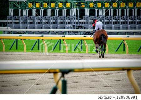 馬のいる風景 129906991