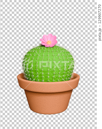 ピンクの花が咲いた丸いサボテンのCG ピンクの花が咲いた丸いサボテンのCG 129907270