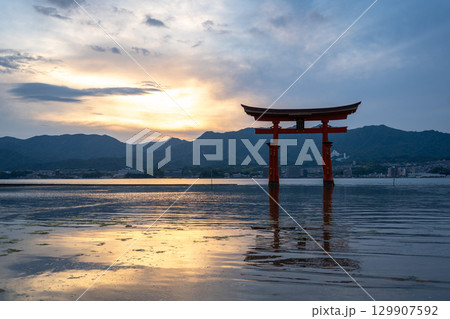 Famous red torii gate of Itsukushima shrine at sunset in Miyajima, Japan Famous red torii gate of Itsukushima shrine at sunset in Miyajima, Japan 129907592