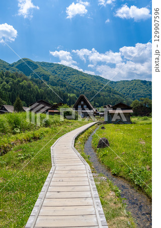 Wooden path crossing traditional village of Shirakawa-go in Japan Wooden path crossing traditional village of Shirakawa-go in Japan 129907596