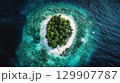 Tropical island paradise top view 129907787