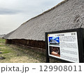 世界文化遺産三内丸山遺跡の大型竪穴建物跡 129908011
