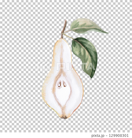 Pear in section with leaves. Isolated watercolor illustration of fruit for design of packages of juices, purees, baby food, jam, compotes, printing on posters and clothes. 129908301