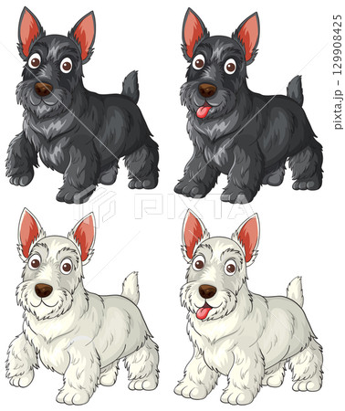 Cartoon Scottish Terriers in Black and White Variations 129908425