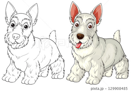 Scottish Terrier Cartoon Illustration with Color and Outline 129908485