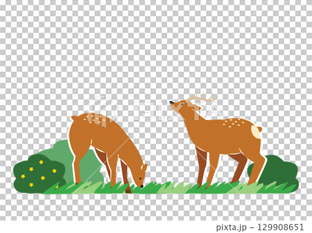 草を食べる蝦夷鹿のイラスト 129908651