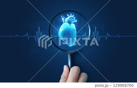 Digital heart health concept with magnifying glass and heartbeat ECG line, cardiology diagnosis, medical innovation, healthcare technology, cardiovascular monitoring illustration. 129908700