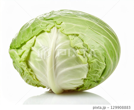 秋の新鮮な収穫野菜（キャベツ） 129908883
