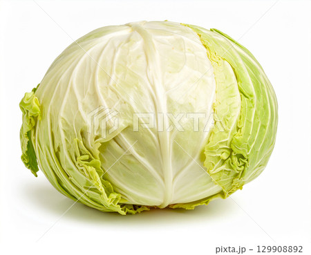 秋の新鮮な収穫野菜（キャベツ） 129908892