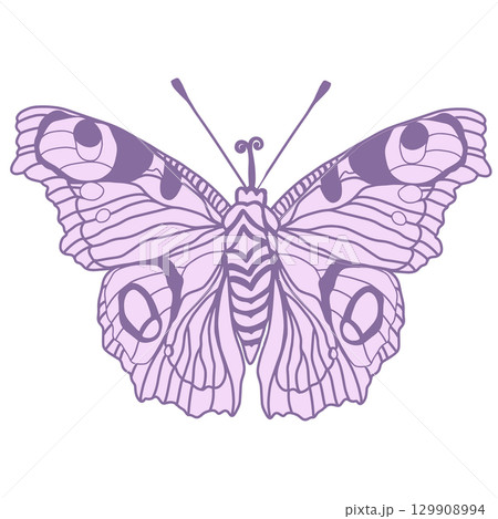 Monarch butterflies Vector hand drawn insect illustration isolated on white background Monarch butterflies Vector hand drawn insect illustration isolated on white background 129908994