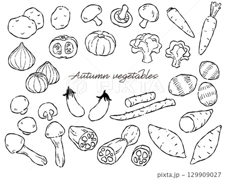 手描きのラフテイストな秋野菜のベクターイラストセット(モノクロ線画) 手描きのラフテイストな秋野菜のベクターイラストセット(モノクロ線画) 129909027