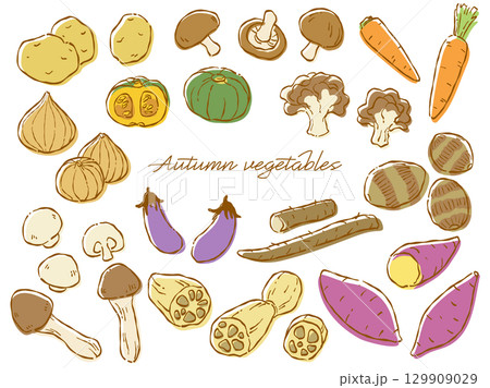 手描きのラフテイストな秋野菜のベクターイラストセット(カラー) 手描きのラフテイストな秋野菜のベクターイラストセット(カラー) 129909029