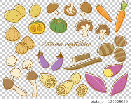手描きのラフテイストな秋野菜のベクターイラストセット(カラー) 手描きのラフテイストな秋野菜のベクターイラストセット(カラー) 129909029
