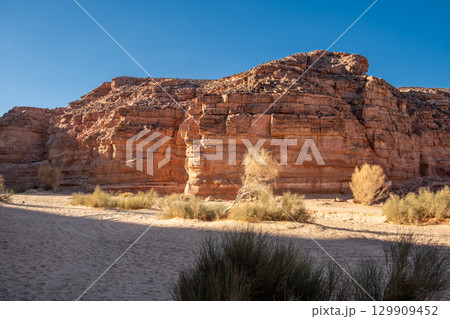 Expansive view of Sinai desert showcasing barren cliffs and sparse vegetation under a clear blue sky Expansive view of Sinai desert showcasing barren cliffs and sparse vegetation under a clear blue sky 129909452