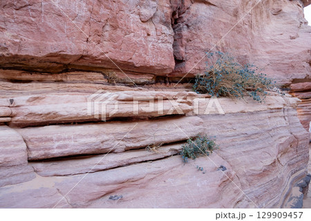 Exploring the natural beauty and ancient carvings of Tsvetnoy Canyon in Egypt during golden hour 129909457