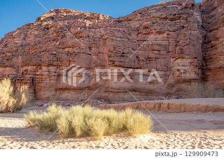 Exploring the Natural Beauty of Tsvetnoy Canyon in Egypt with Sunlit Rock Formations Exploring the Natural Beauty of Tsvetnoy Canyon in Egypt with Sunlit Rock Formations 129909473