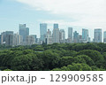 東京 皇居エリアの森とビル群 129909585