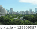 東京 皇居エリアとビル群 129909587