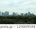 東京 皇居エリアの森とビル群 129909588