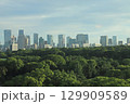 東京 皇居エリアの森とビル群 129909589