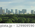 東京 皇居エリアの森とビル群 129909590