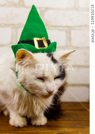 Portrait of beautiful cat wearing a green leprechaun hat. St. Patrick's Day concept 129910218
