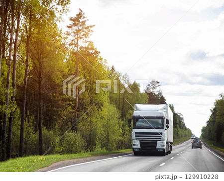 Truckers transport cargo on trucks in summer against the backdrop of forest and nature. Logistics company concept. GPS monitoring, transport company as a business. Copy space for text 129910228