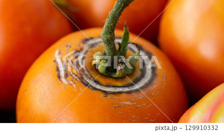 blossom end rot and calcium deficiency on tomato fruits. Large ring rot, close-up 129910332