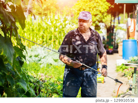Portrait of an elderly caucasian man with a telescopic sprayer rod at his dacha for chemical treatment. Copy space for text, industry 129910516