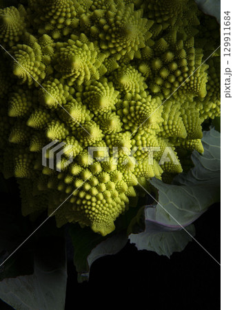 Romanesco 129911684