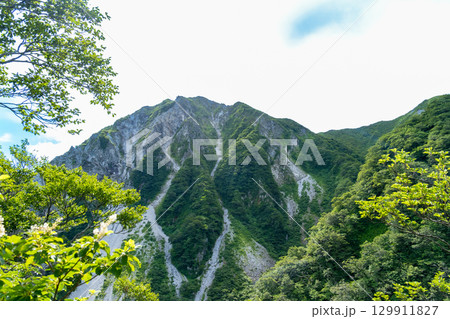【日本百名山】大山ユートピアコースから見た三鈷峰1 鳥取県西伯郡大山町 【日本百名山】大山ユートピアコースから見た三鈷峰1 鳥取県西伯郡大山町 129911827