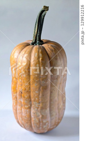 Studio Shot of Tall Orange Gourd with Ridged Texture and Green Stem on White Background 129912216