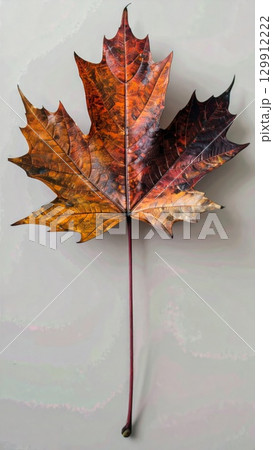 Isolated Maple Leaf with Vibrant Orange and Brown Color Gradient on Neutral Backdrop 129912222