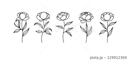 Floral line art showcasing five distinct peony flower designs with elegant leaf details and varying heights 129912369
